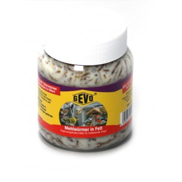 GEVO Mehlwürmer in Fett im Glas 240 g