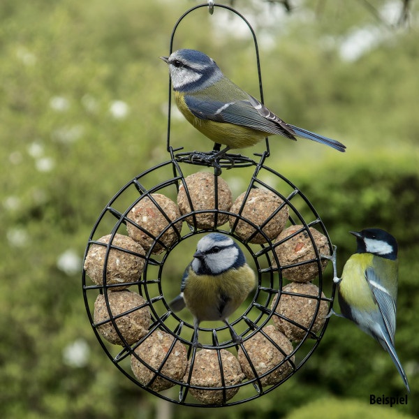 Pauls Mühle Ganzjahresknödel mit Insekten ohne Netz ohne Folie 100 Stück + 1 x Meisenknödelrondell