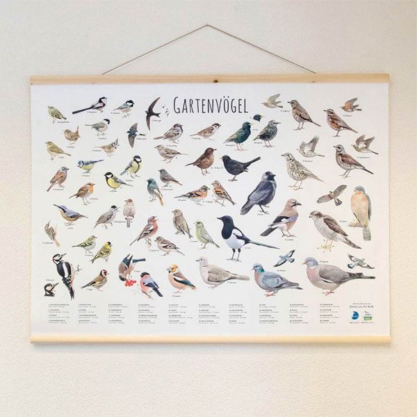 CJ Wildlife Wandkarte Gartenvögel 1 Stück