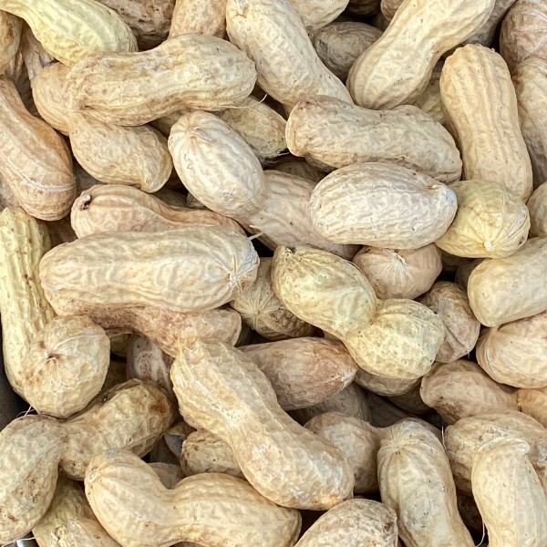 Paul's Mühle High Premium Erdnüsse in Schale für Futterzwecke 20 kg