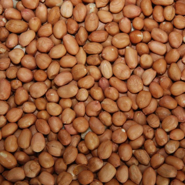 Pauls Mühle Erdnüsse mit Haut Light Skin 5 kg Beutel ERNTE 2023