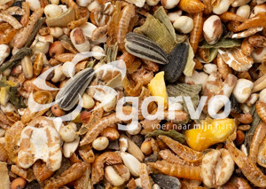 Garvo 207008 Pride Treats 6 x 800 g Sparpack