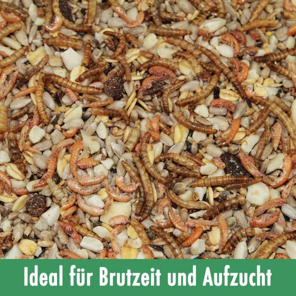 Paul's Mühle Wildvogelfutter Phönix 20 kg