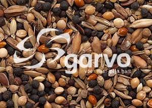 Garvo 5333 Unkrautsämereien 2 kg