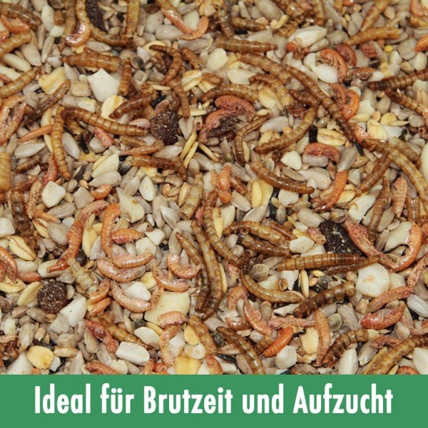 Paul's Mühle Wildvogelfutter Phönix 5 kg